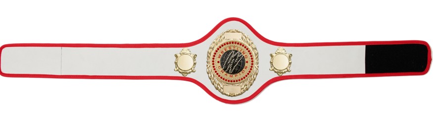 WRESTLING BELT-PRO286/G/WRESTGEMG-10+ COLOURS